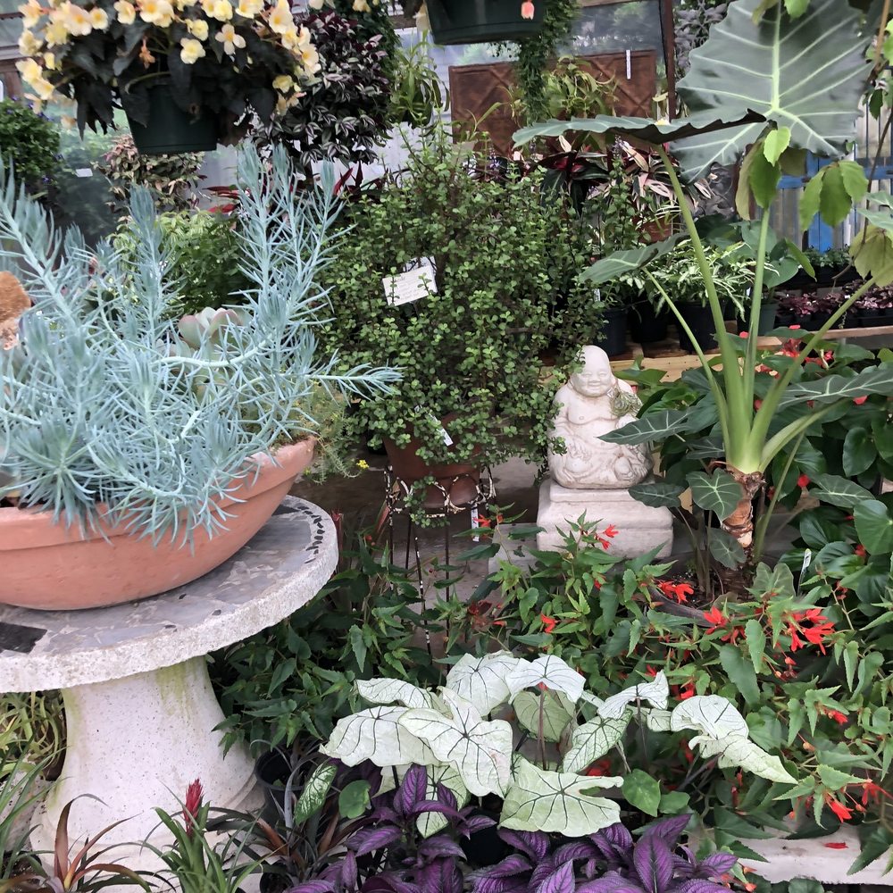Photo of New Roots Landscaping