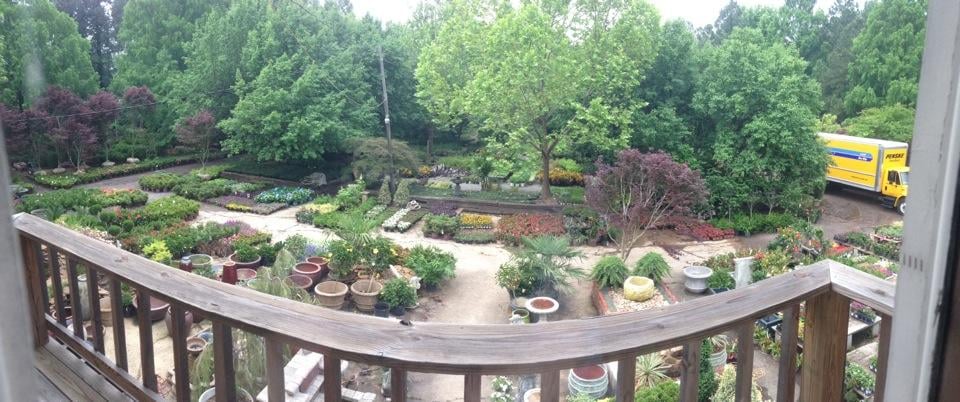 Photo of Gurley's Azalea Garden