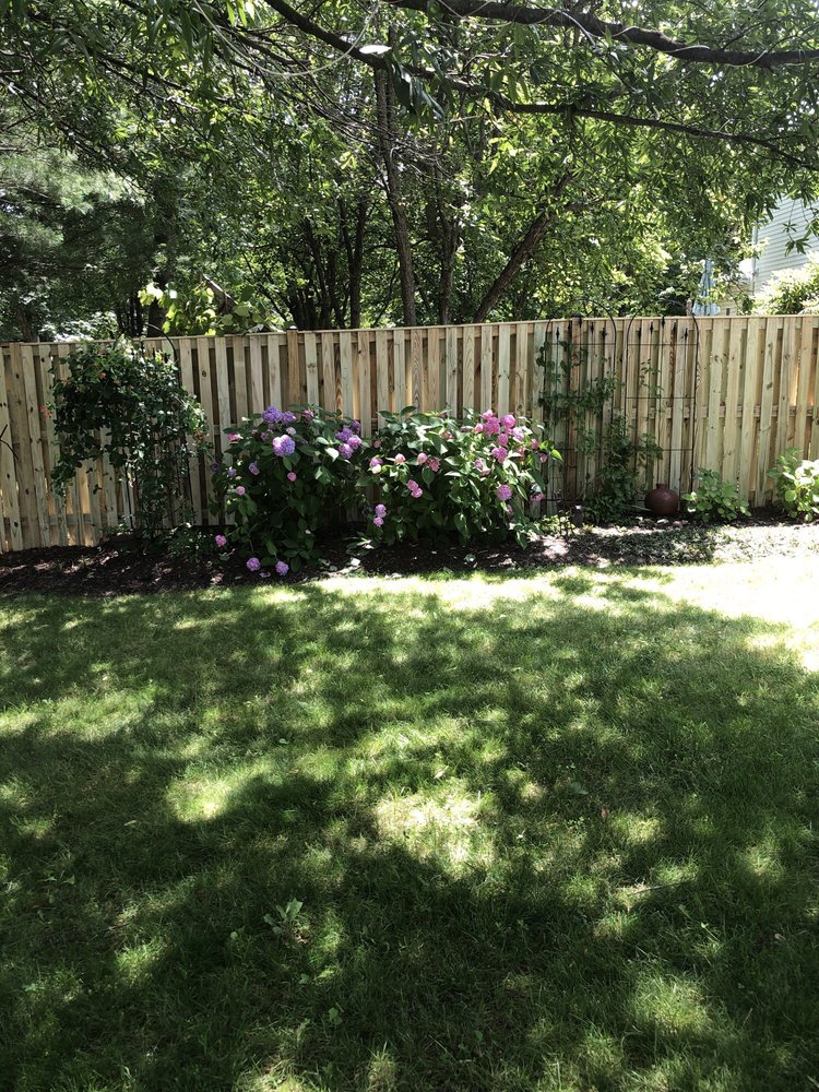Photo of N F L Fence