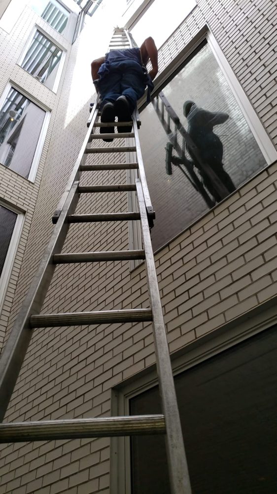 Photo of Apple Window Cleaning