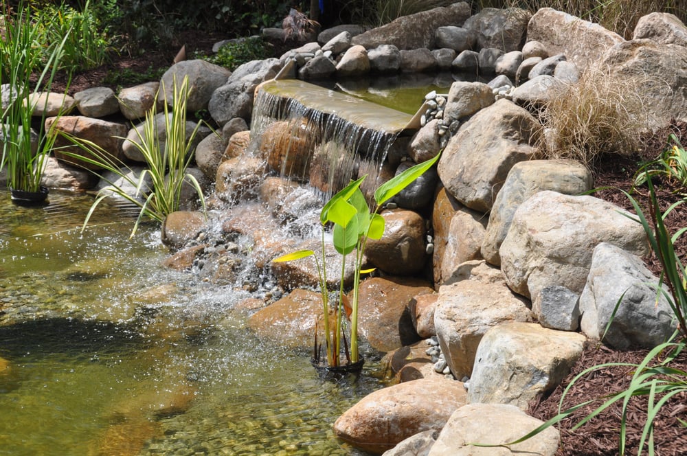 Photo of Landscape Solutions