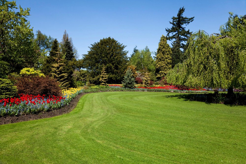 Photo of Rock Solid Landscape & Irrigation