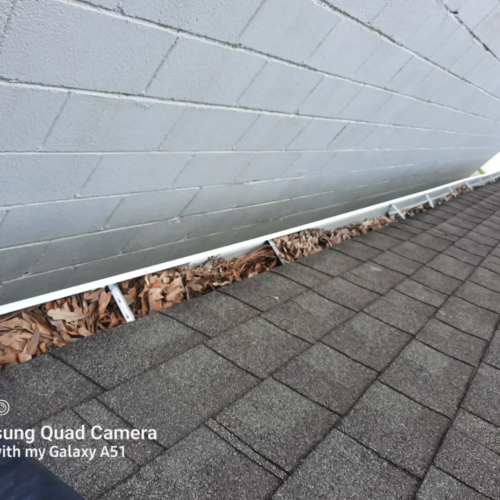 Photo of Falling Leaves