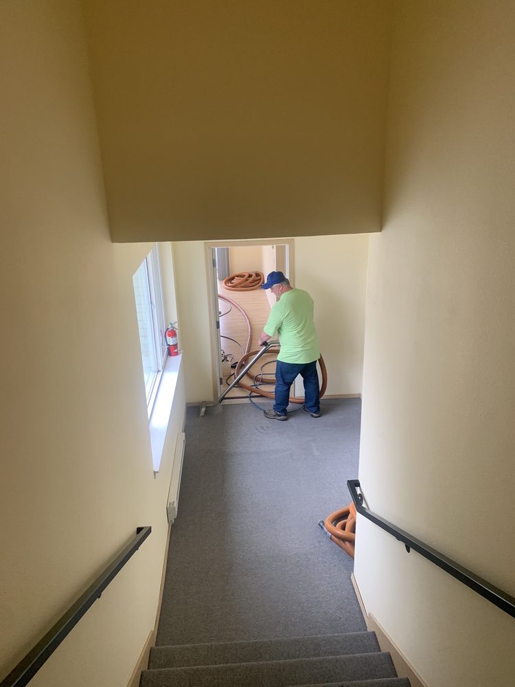 Photo of GT Carpet Cleaning