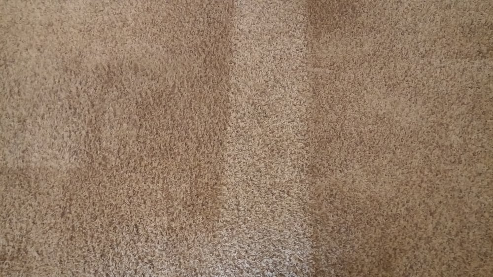 Photo of West Coast Clean