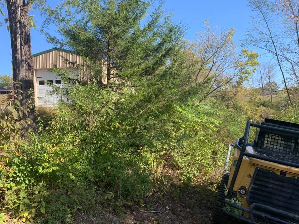 Photo of B&N Land Management