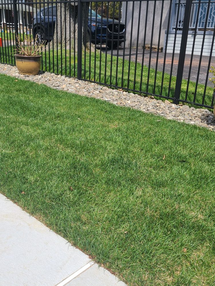 Photo of Mex Landscaping