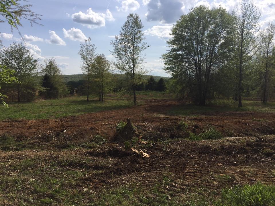 Photo of Redd Excavation