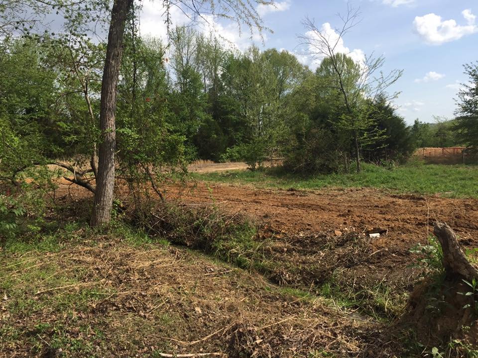 Photo of Redd Excavation