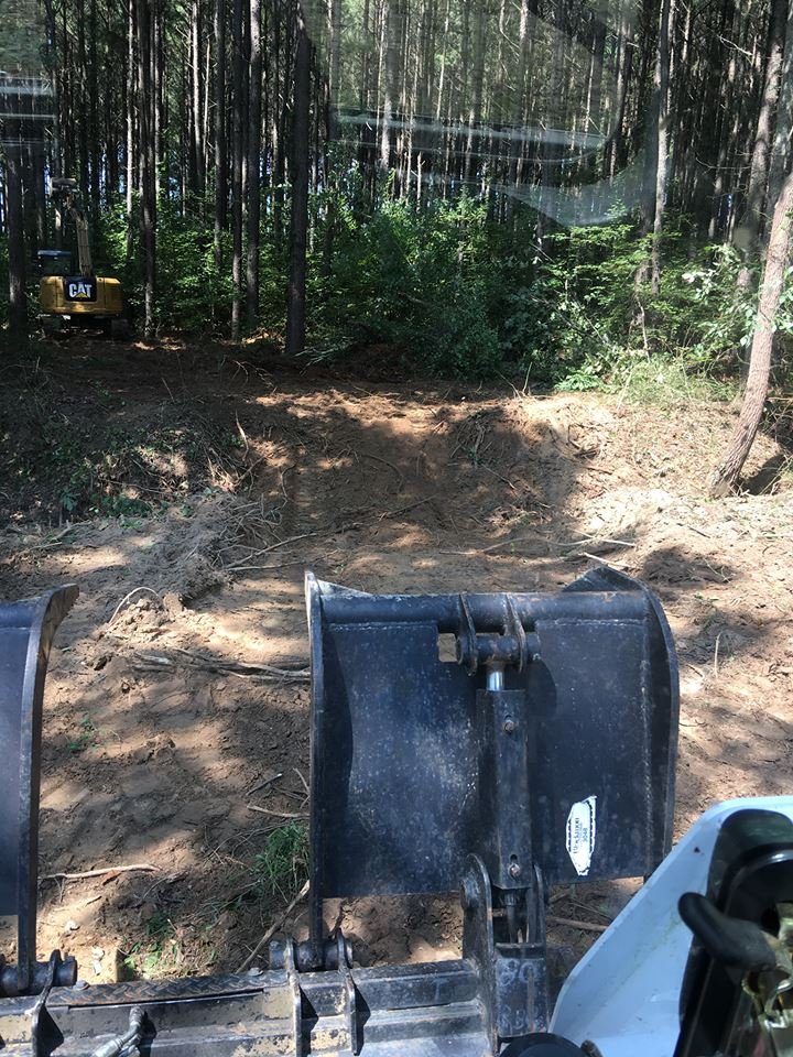 Photo of Redd Excavation
