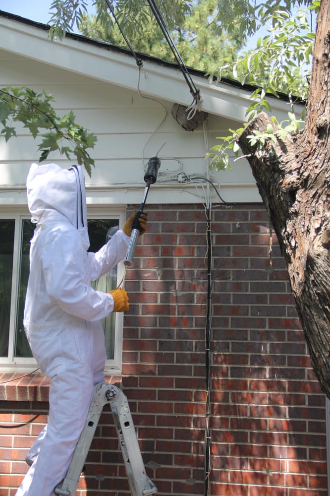 Photo of AcEco Extermination & Insulation