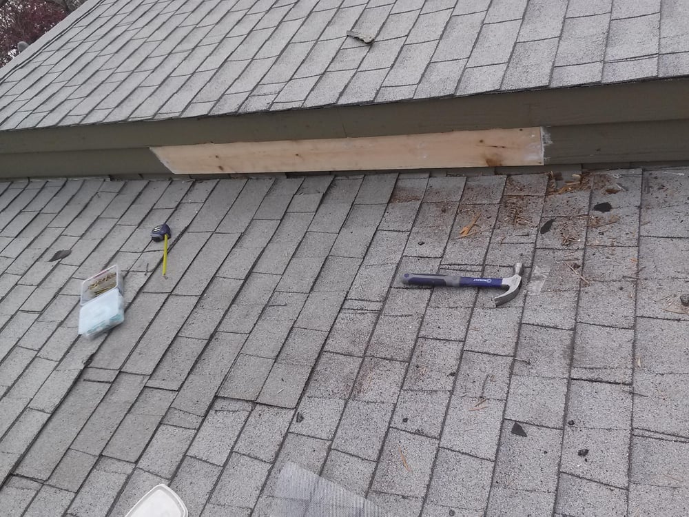Photo of AcEco Extermination & Insulation
