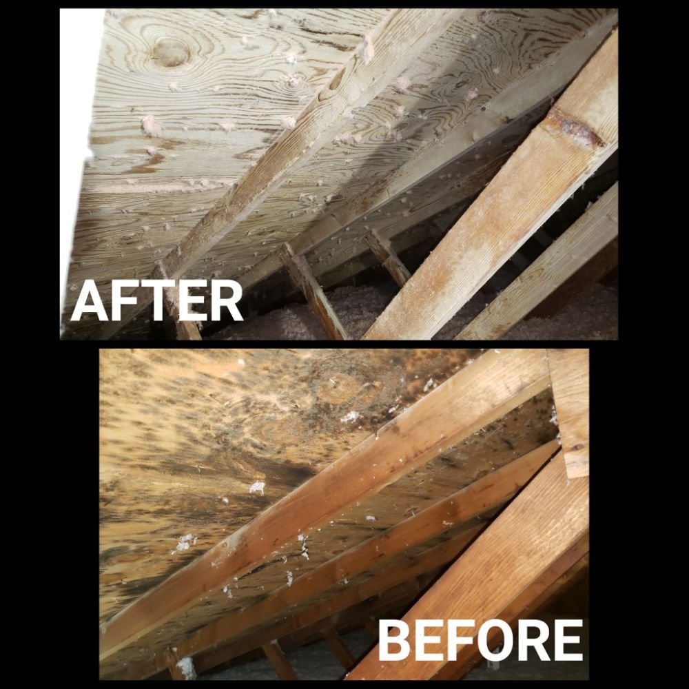 Photo of Complete Detail Cleaning & Restoration