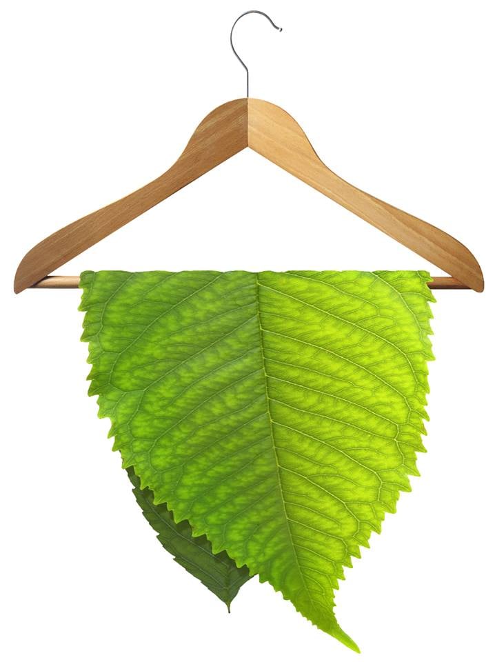 Photo of Dryeco Green Dry Cleaners