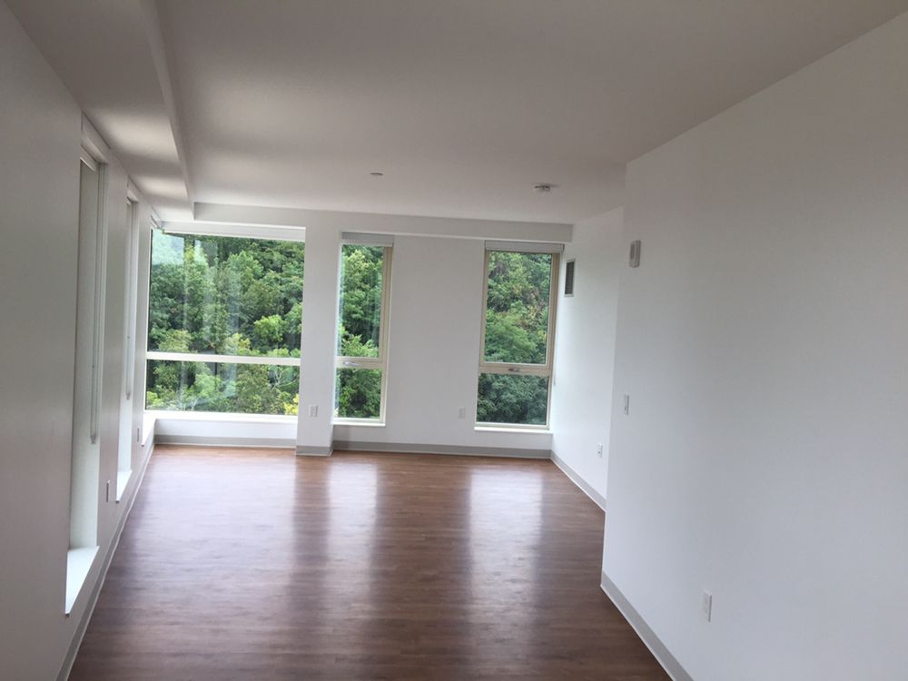 Photo of Pro Painter Interior & Exterior