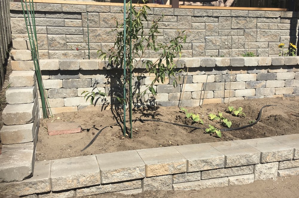 Photo of Tin Landscaping