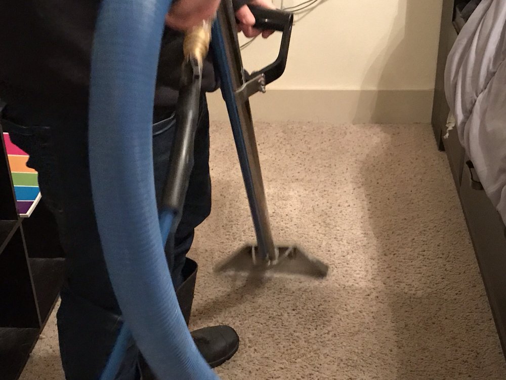 Photo of Ace Carpet Cleaning