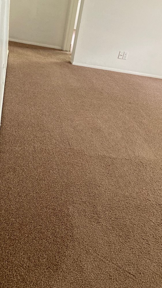 Photo of Ace Carpet Cleaning