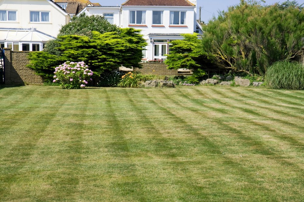 Photo of D's Landscaping