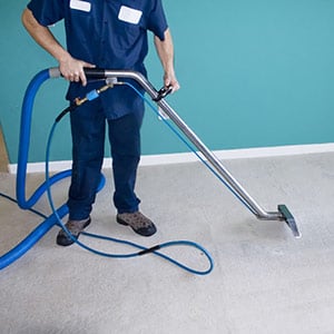 Photo of Ideal Carpet Cleaning