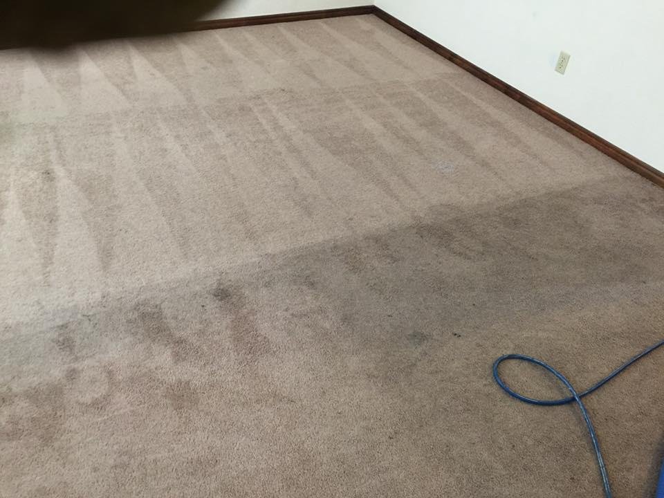 Photo of Ideal Carpet Cleaning