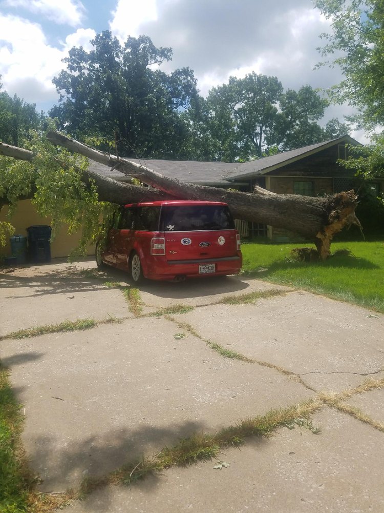 Photo of Allen's Tree Service