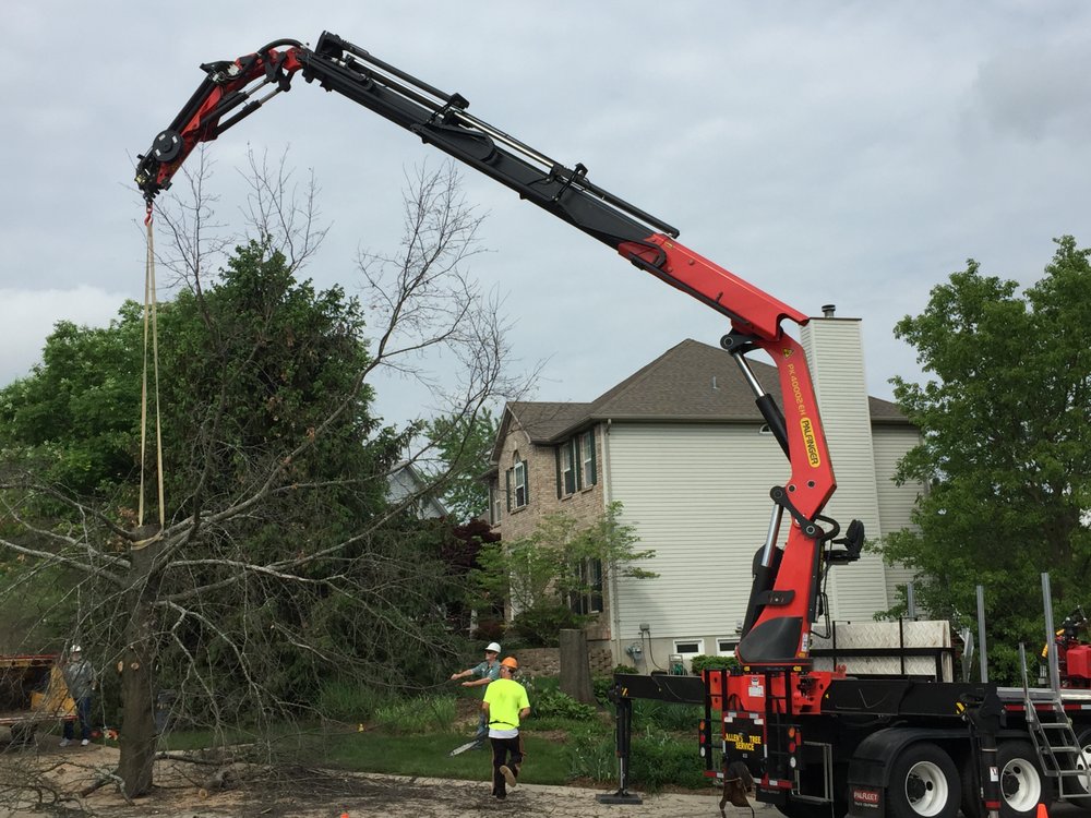 Photo of Allen's Tree Service