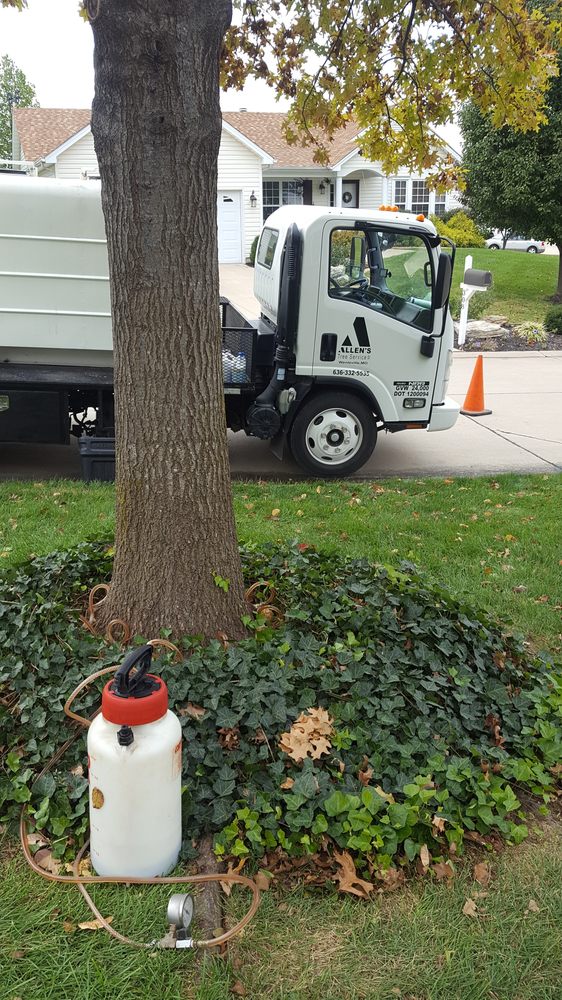 Photo of Allen's Tree Service