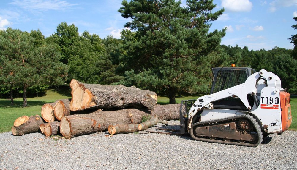 Photo of Nassau Suffolk Tree Service