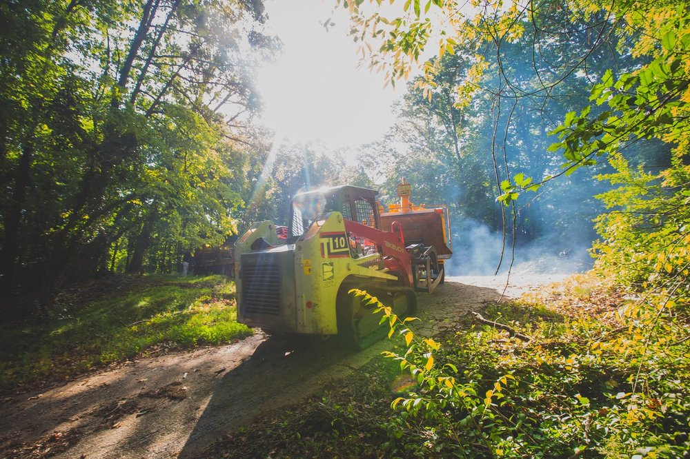 Photo of Nassau Suffolk Tree Service