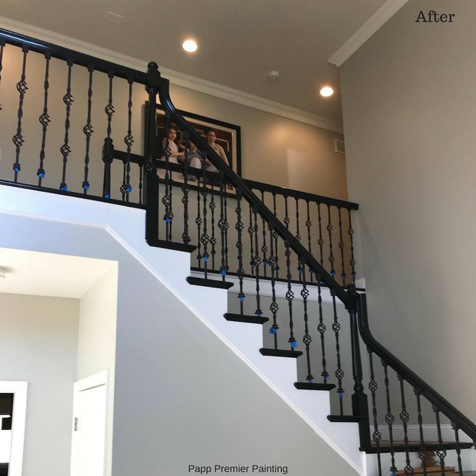 Photo of Papp Premier Painting