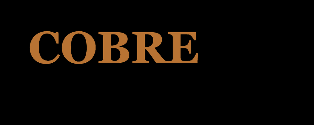 Photo of Cobre Professional Property Management