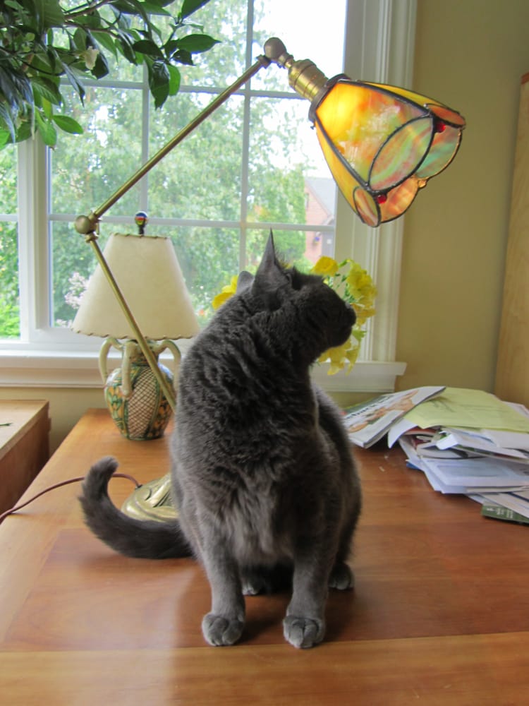 Photo of Gentis Stained Glass