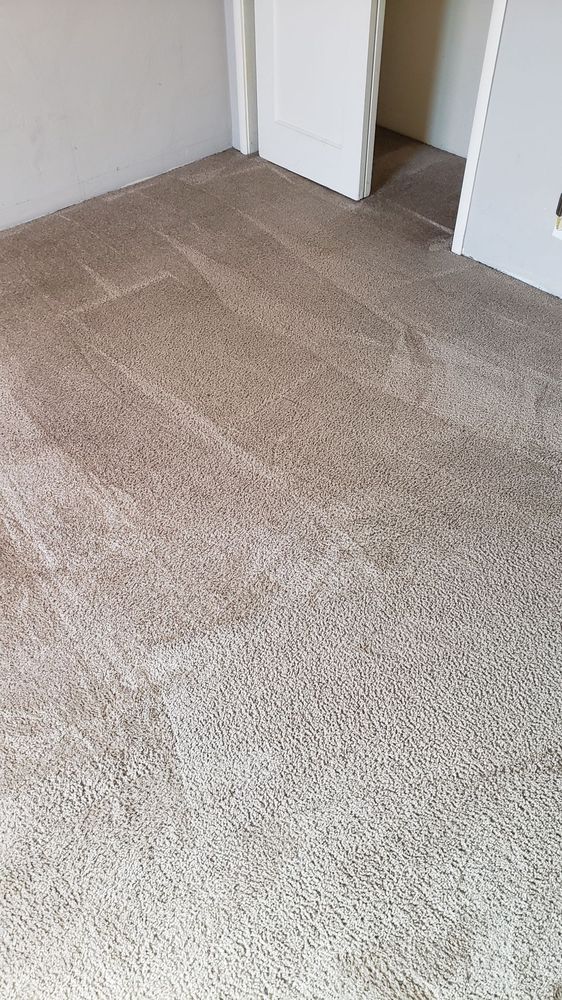 Photo of Bonadona's Carpet Cleaning