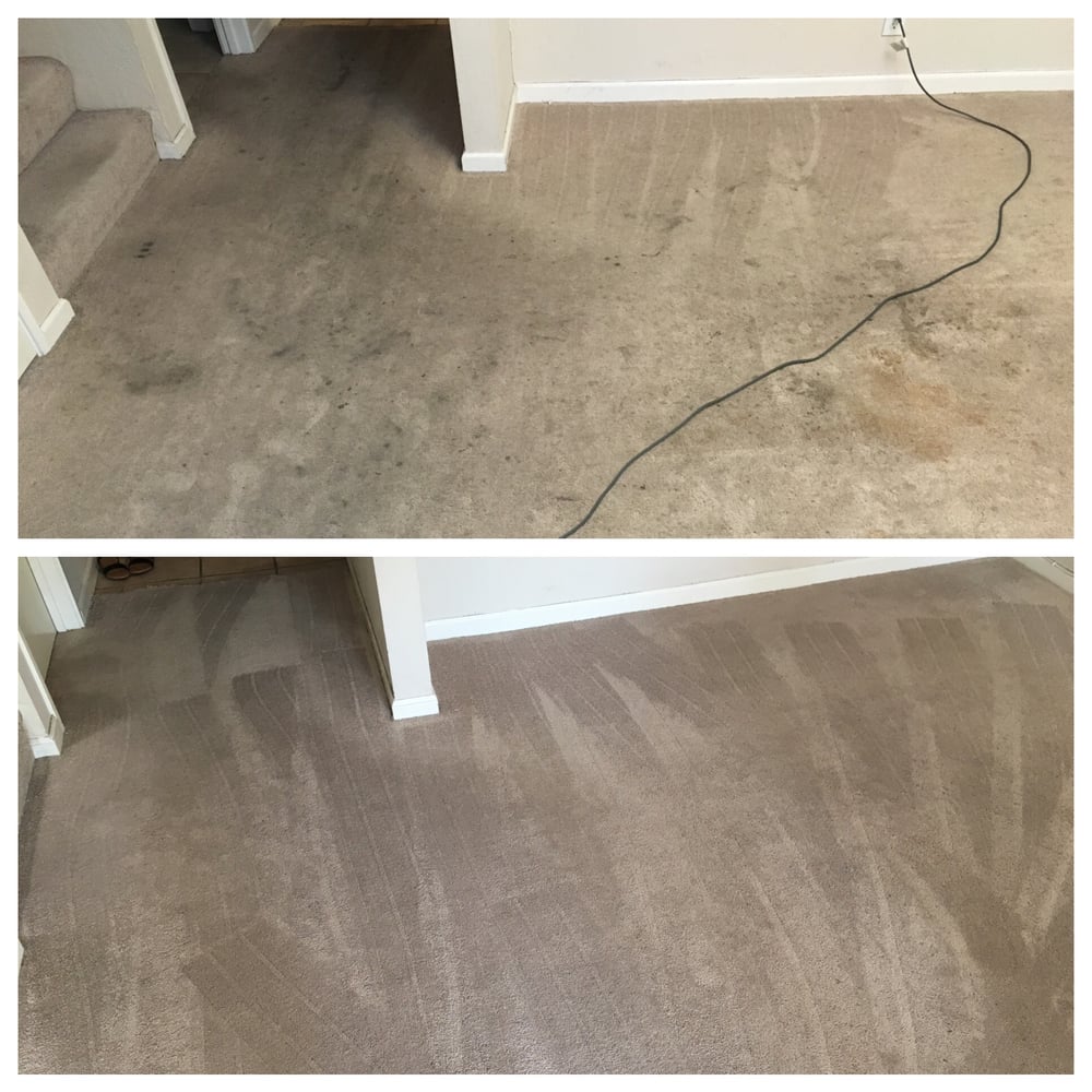 Photo of Bonadona's Carpet Cleaning