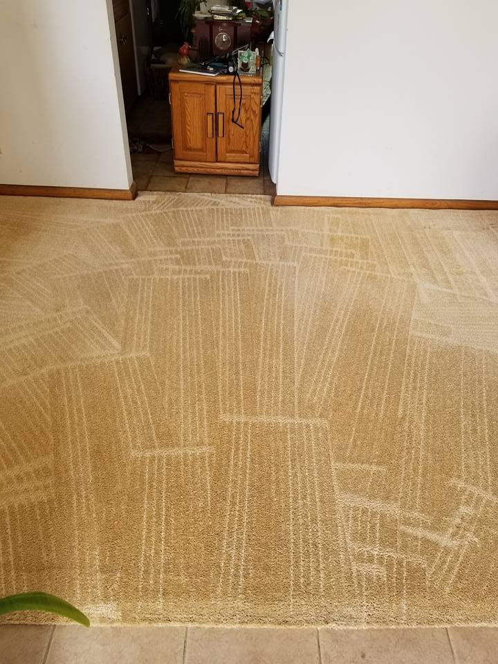 Photo of Cardinal Carpet Care