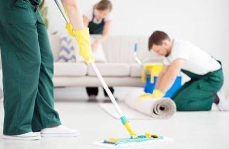 Photo of Deluxe Carpet & Air Duct Cleaning