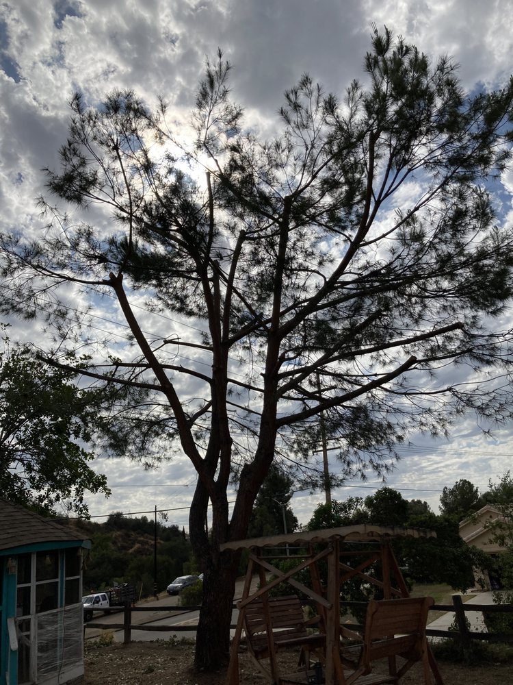 Photo of Gami Escobar Landscaping