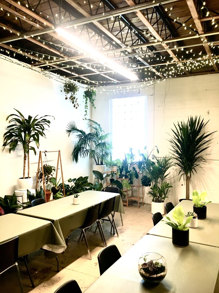 Photo of Art Terrarium