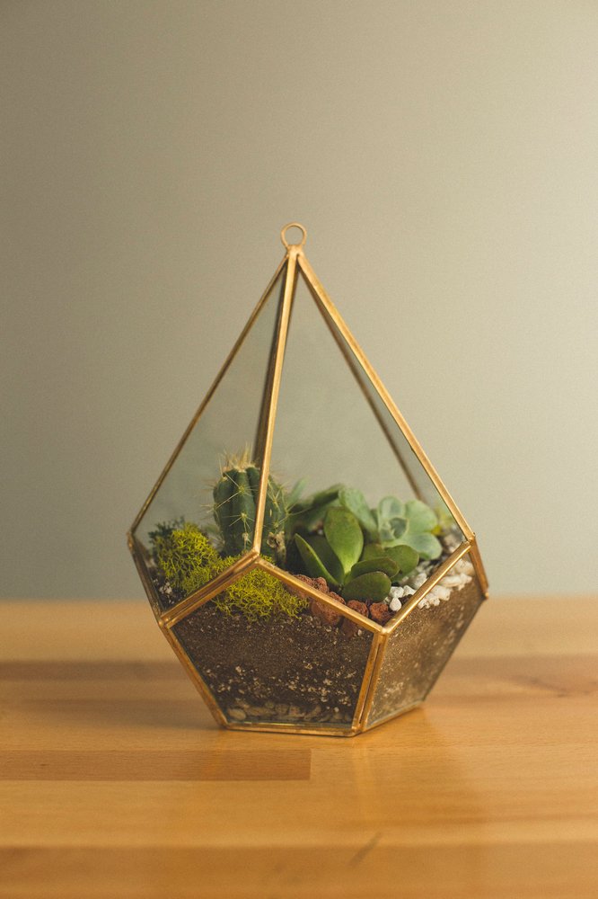 Photo of Art Terrarium