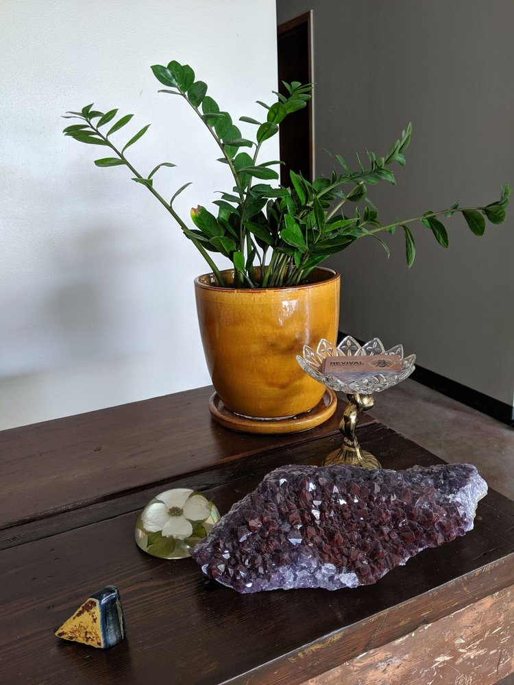 Photo of Art Terrarium