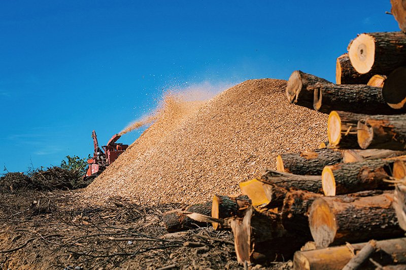 Photo of Adler & Sons