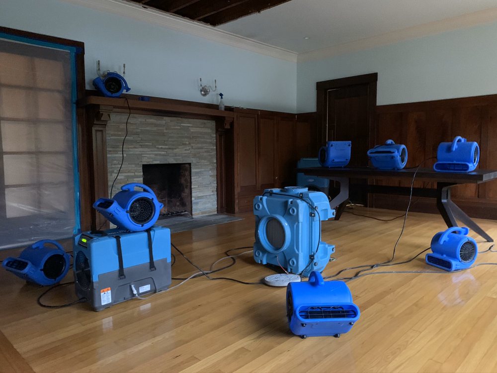 Photo of All Action Water Damage