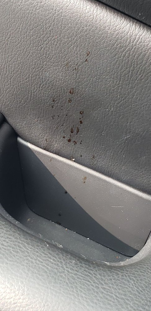 Photo of Desert Car Wash