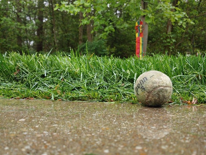 Photo of Pro-Lawn-Plus Inc