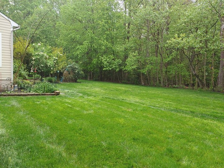 Photo of Pro-Lawn-Plus Inc