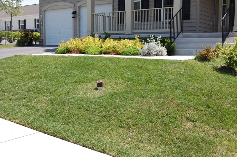 Photo of Pro-Lawn-Plus Inc