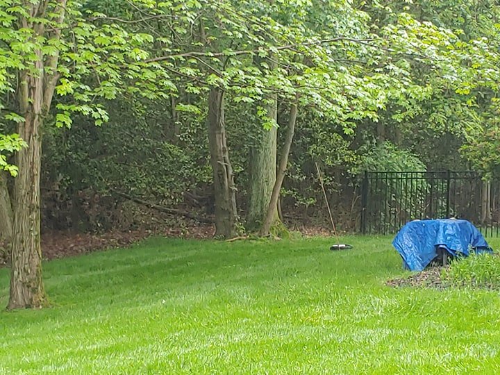 Photo of Pro-Lawn-Plus Inc