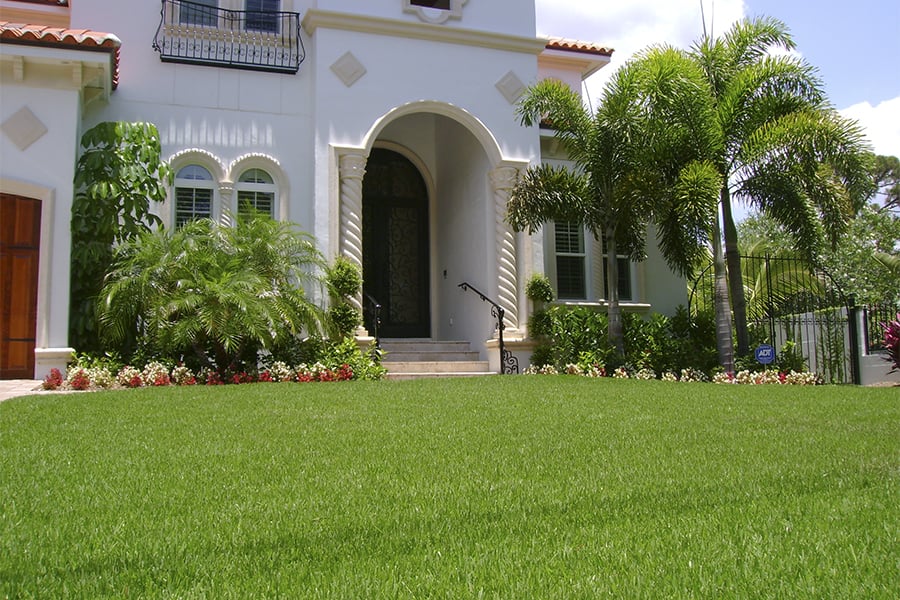 Photo of Honey Bee Lawn Service