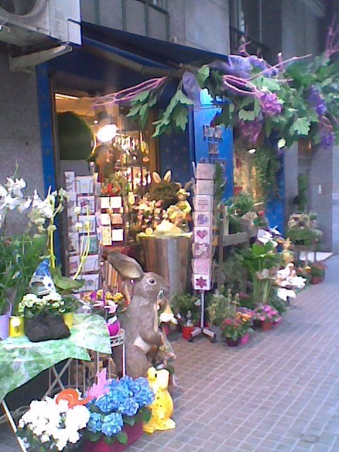 Photo of Flor de Calvet